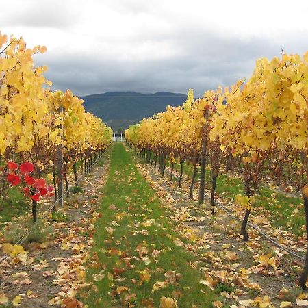 Korohi Vineyard Bnb Blenheim Luaran gambar